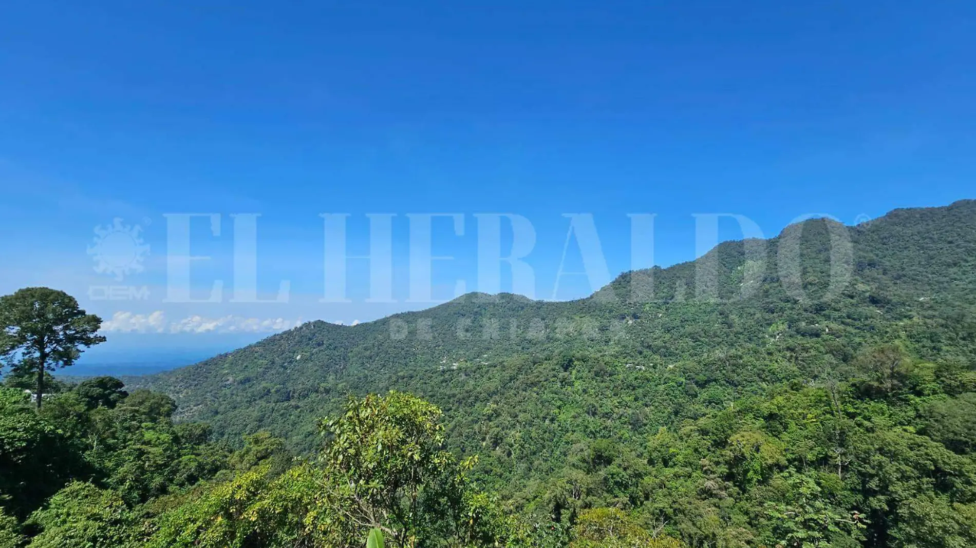 Cobertura vegetal en Chiapas (1)